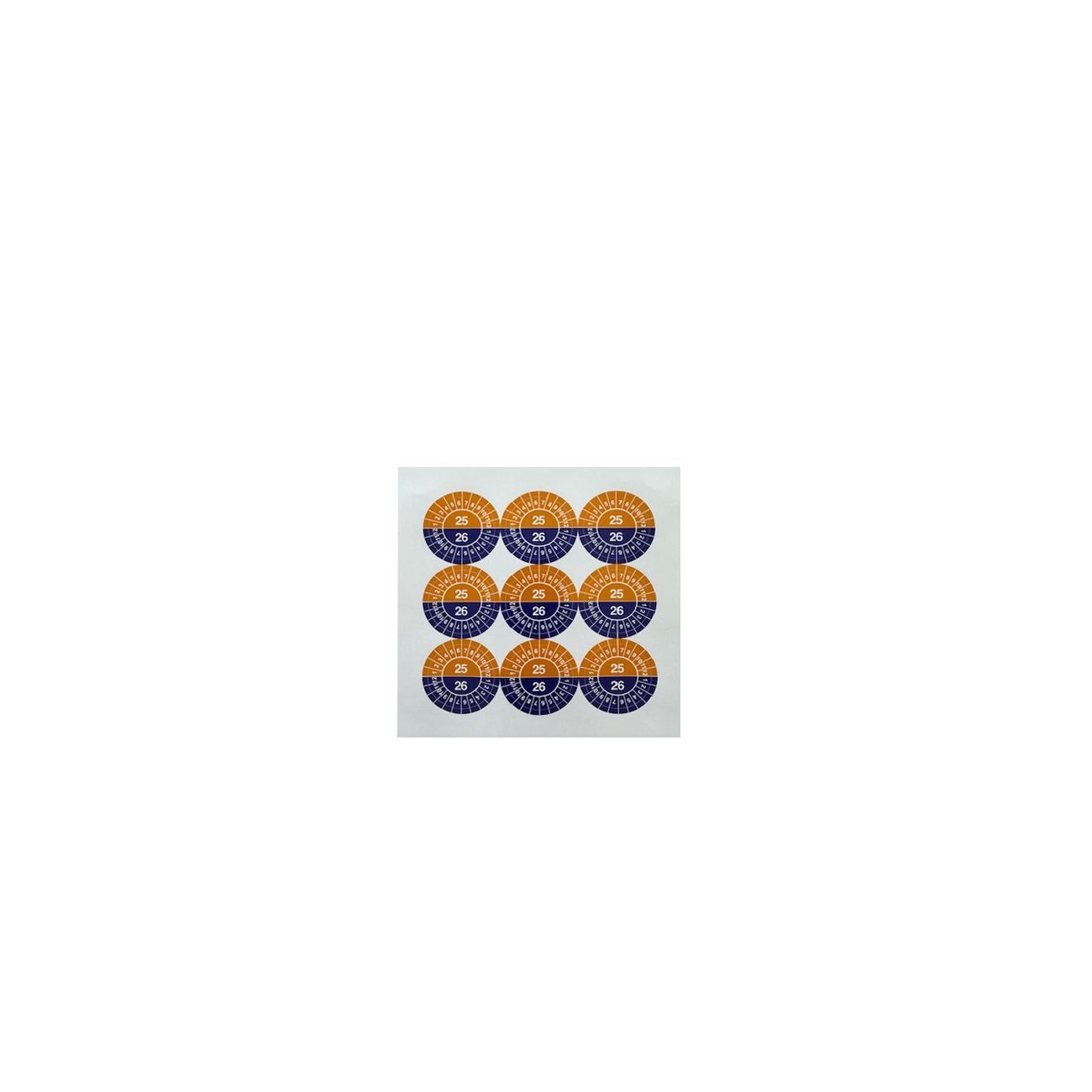 Pictogram Stickervel Controle 2025/2026 30 Mm (9 Stuks)